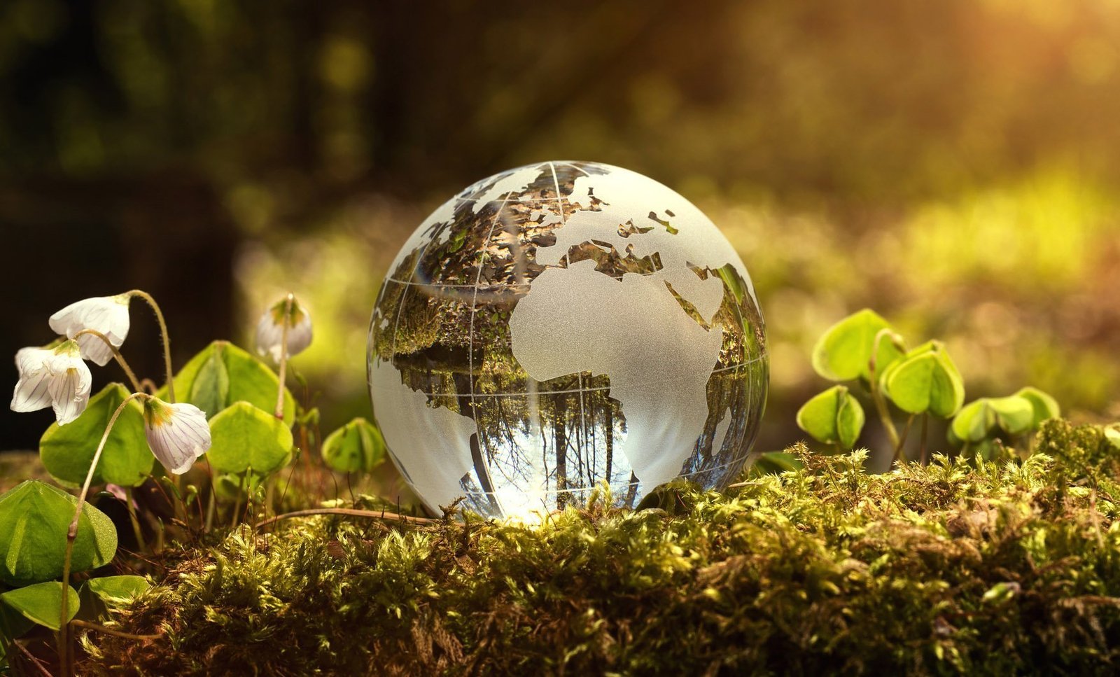 Atık Yönetimi Neden Sadece Geri Dönüşümden İbaret Değil?